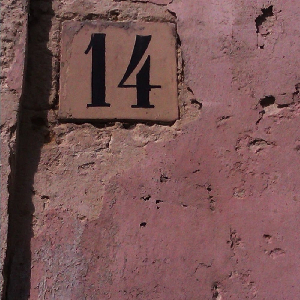 Live show listing 🤩